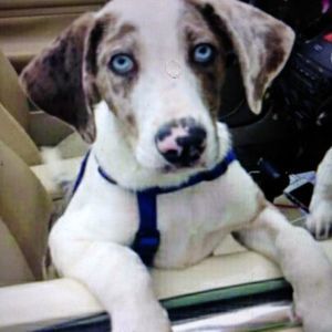 Meet your Posher, Nan